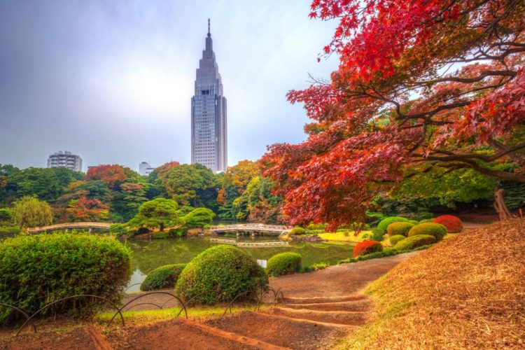 Парк Синдзюку Гёэн - достопримечательности Токио